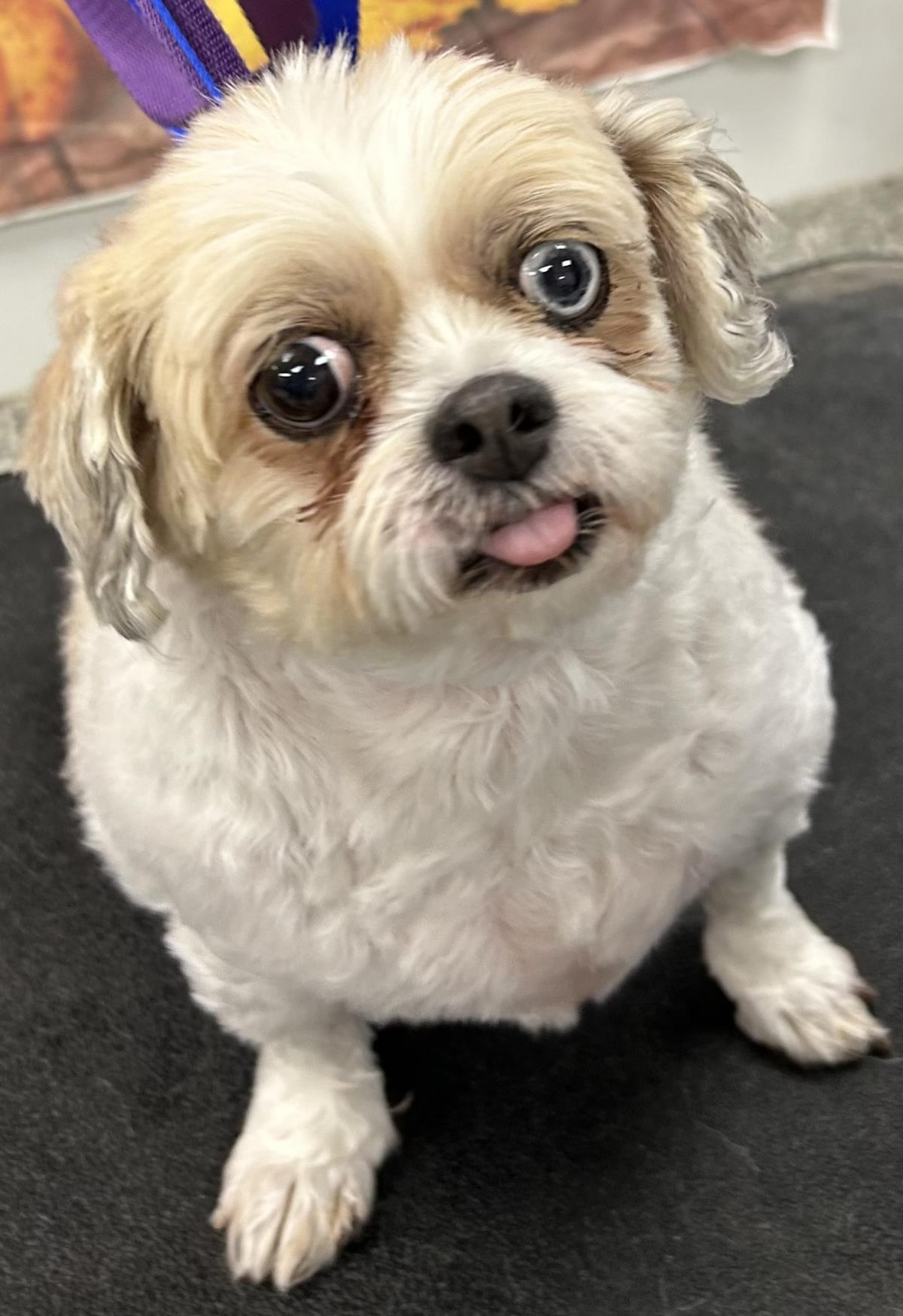 Maggie