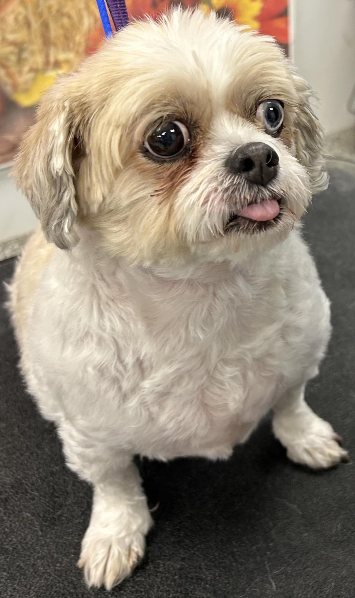 Maggie