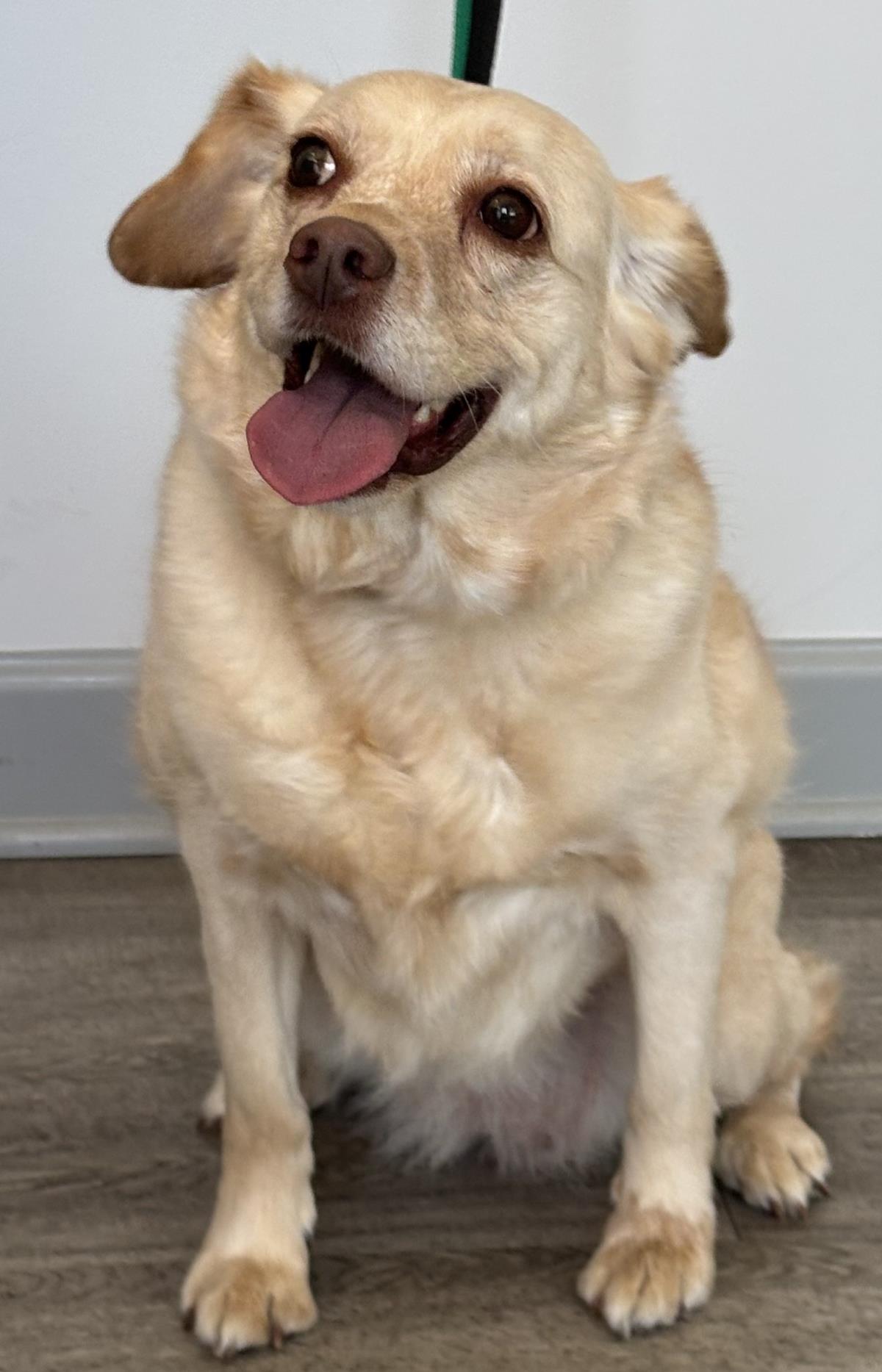 Marley