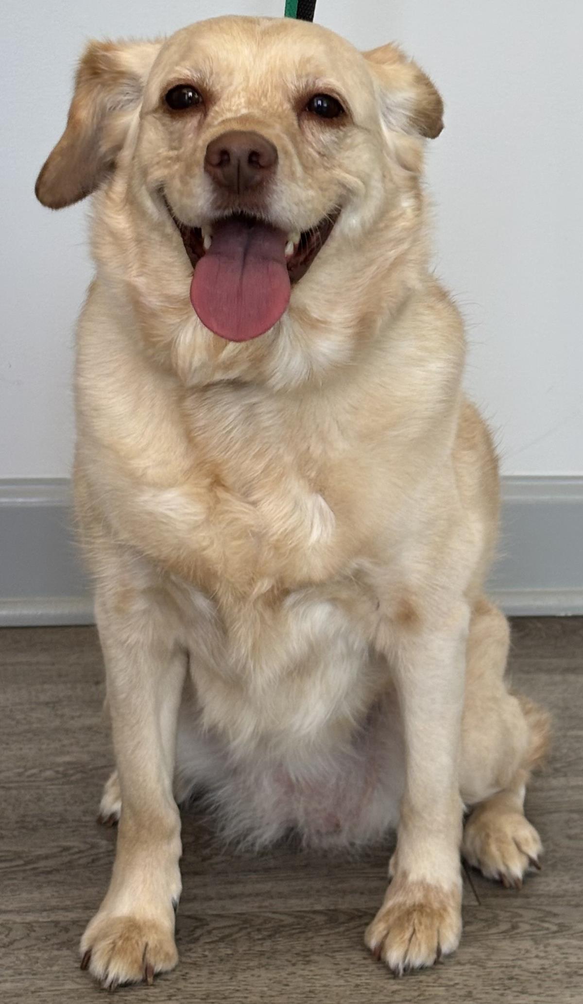 Marley